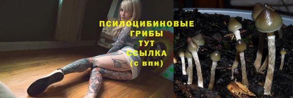 спиды Корсаков