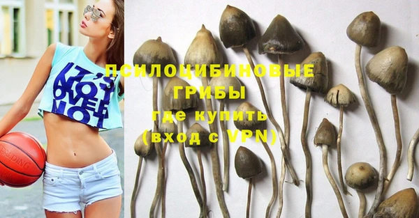 спиды Корсаков