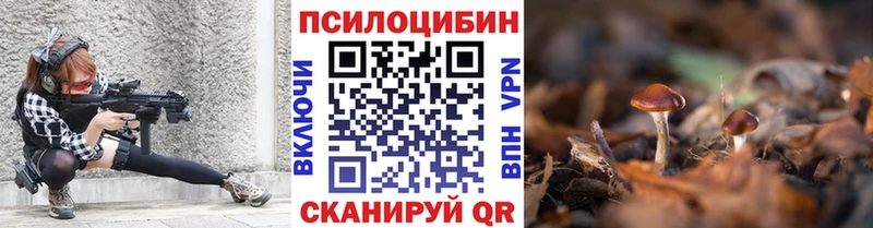 kraken сайт  Ессентукская  Псилоцибиновые грибы мицелий  цена наркотик 
